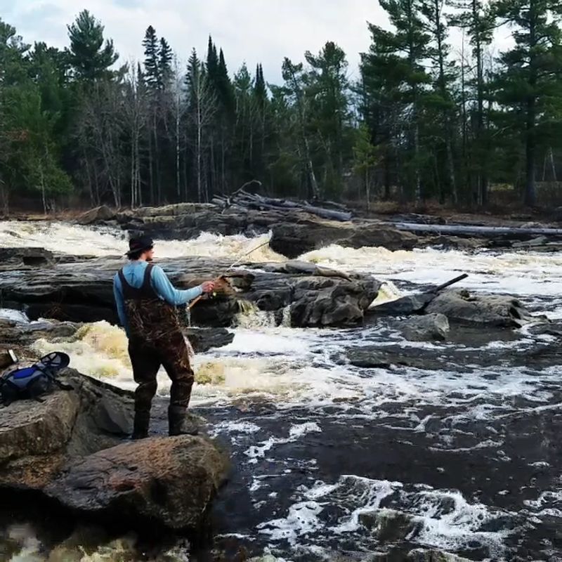 Fishing for Bass and Northern Pike Fishing for Bass and Northern Pike