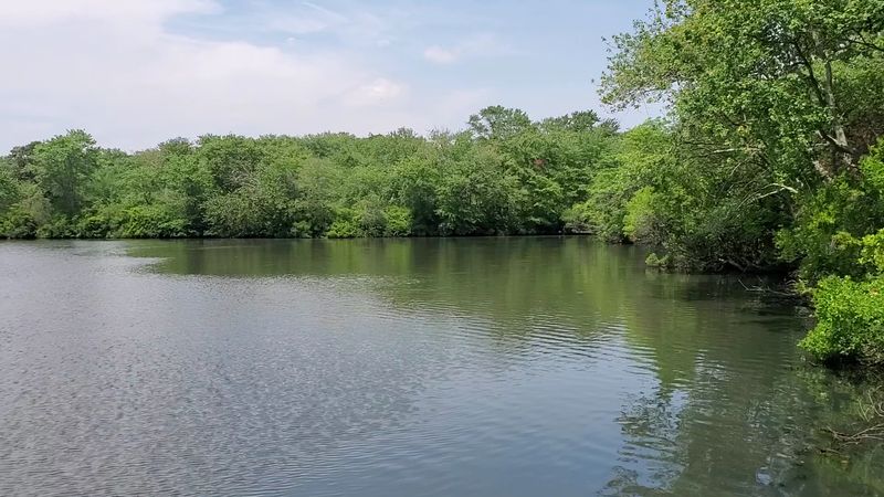 Fishing for Beginners and Seasoned Anglers Fishing for Beginners and Seasoned Anglers