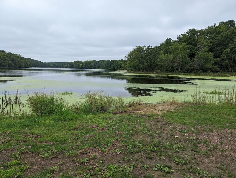Fishing for Fun on a Recovering Lake