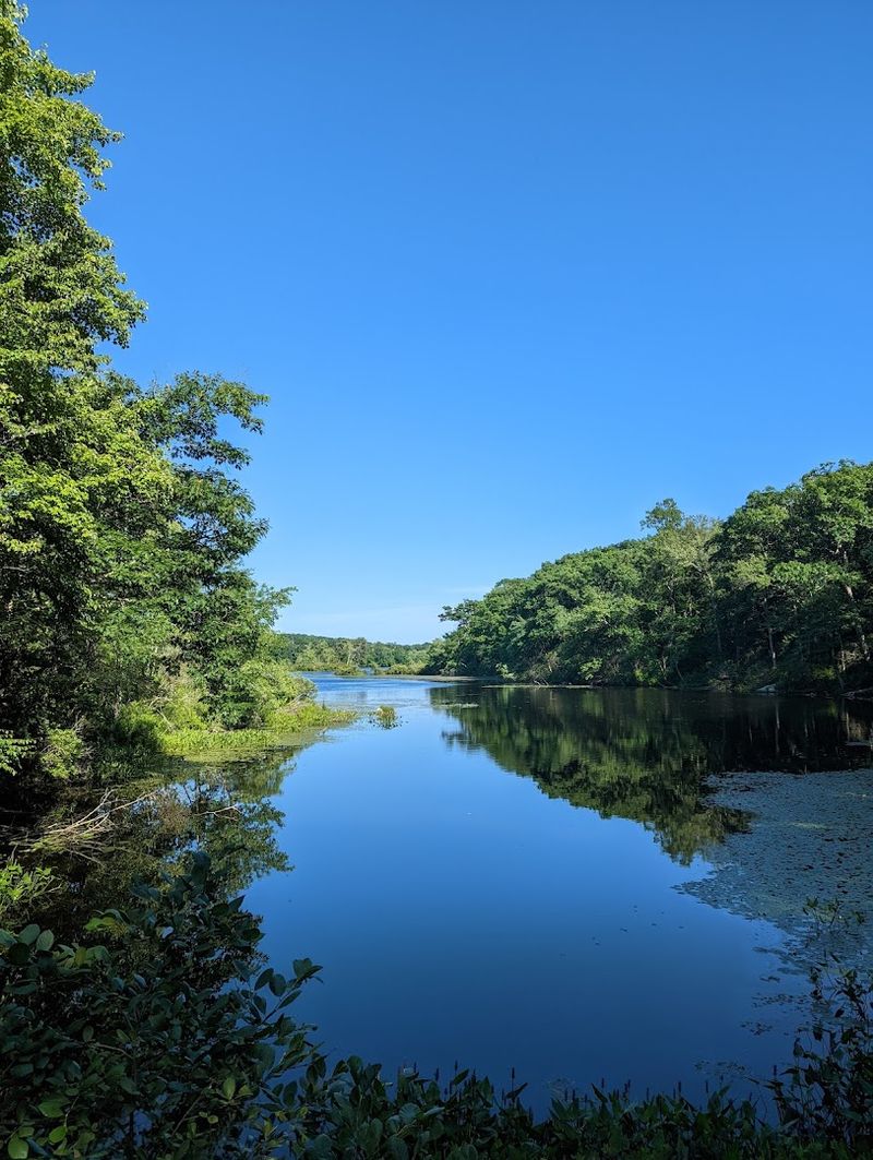 Fishing in a Stocked Lake and Quiet Reservoir