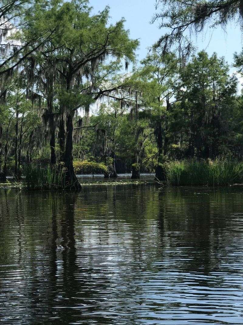 Fishing in the Swamp: An East Texas Tradition