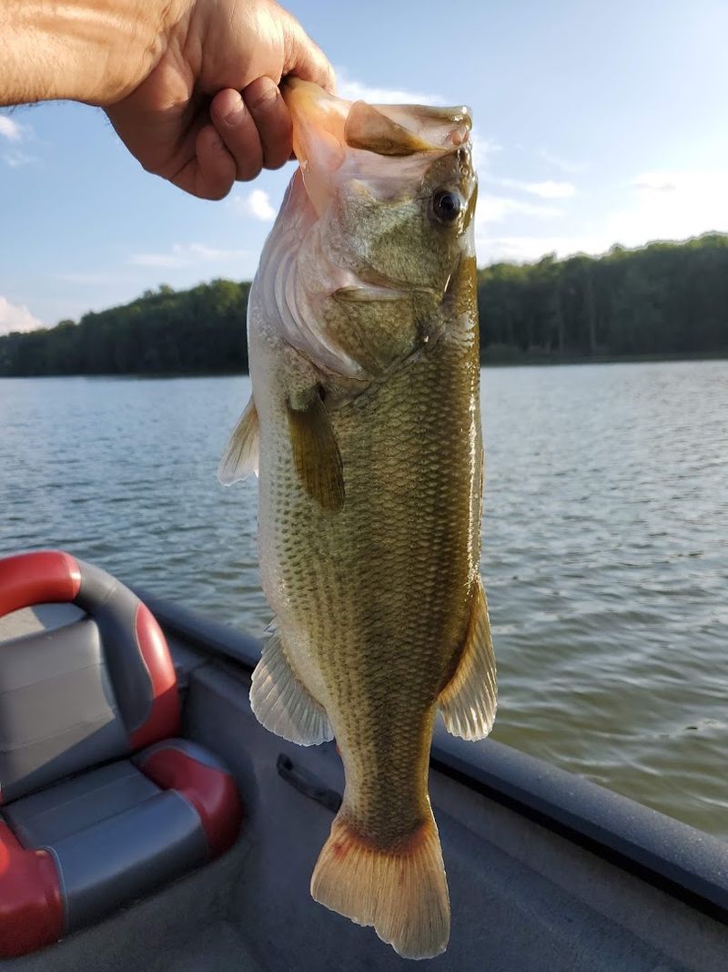 Fishing on a Lake Loved by Anglers for Generations