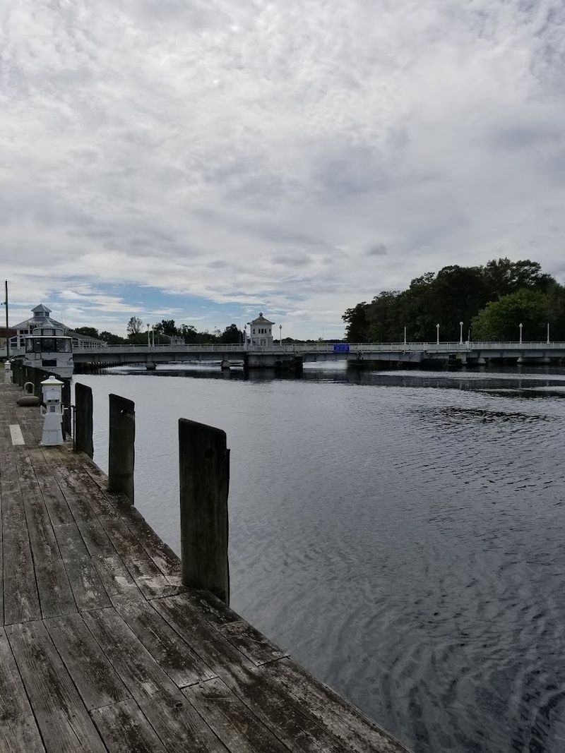 Fishing on the Pocomoke River: Cast a Line and Relax