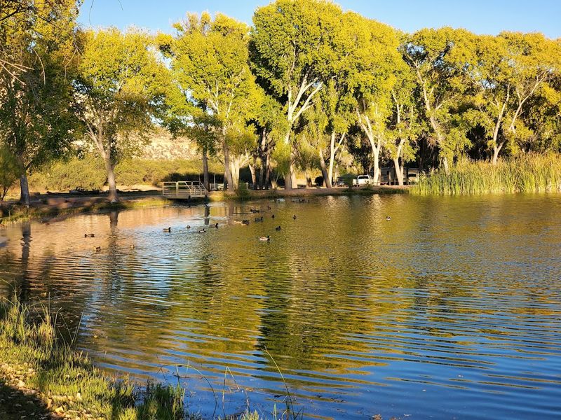 Fishing the Lagoons