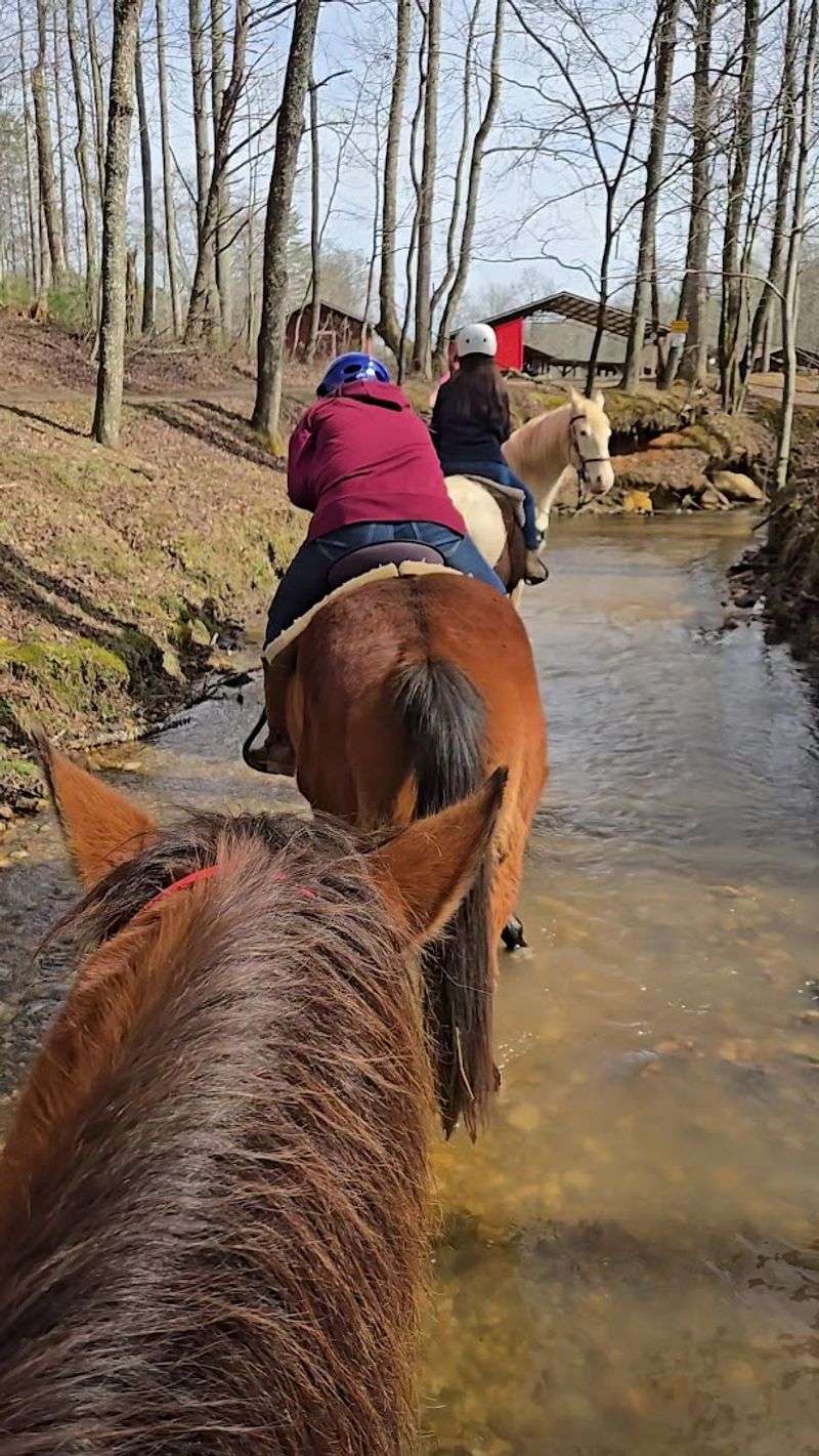 Flexible Ride Options Including Private Tours