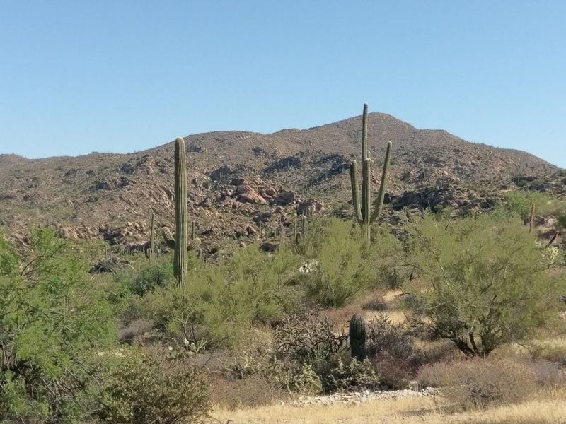 Florence Junction Serves as a Gateway to Arizona's Outdoor Adventures Florence Junction Serves as a Gateway to Arizona's Outdoor Adventures