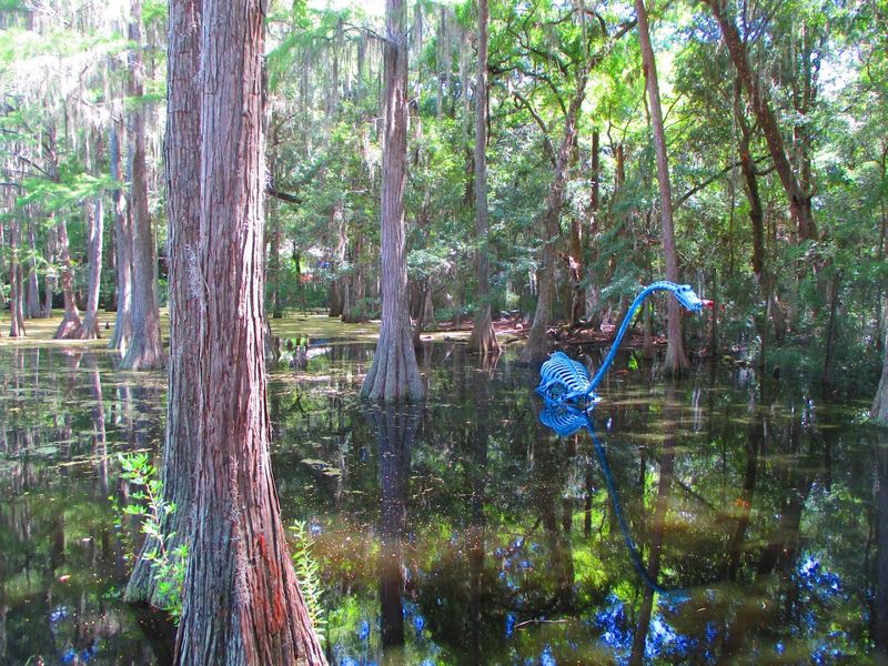 Florida Wildlife Animal Exhibits