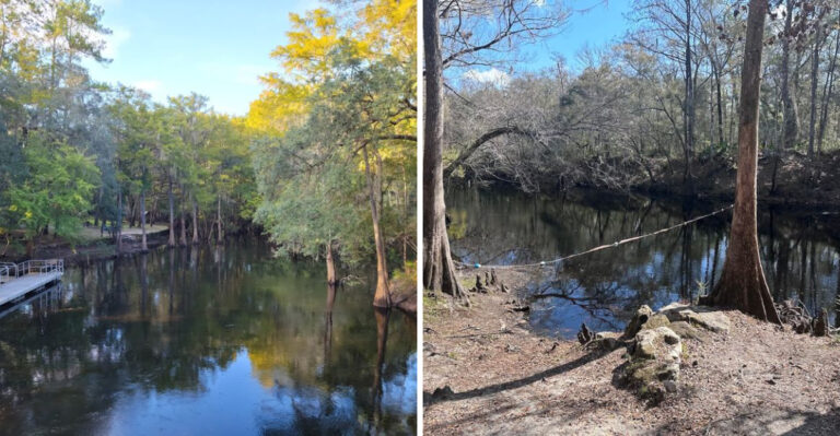 Florida’s O’Leno State Park Is So Mysterious, It Feels Like Stepping Into The Twilight Zone