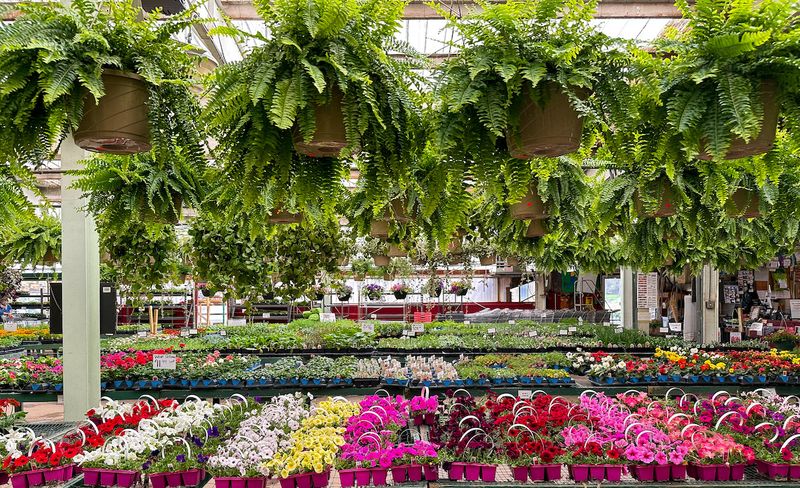 Flower World Greenhouse That Will Blow Your Mind