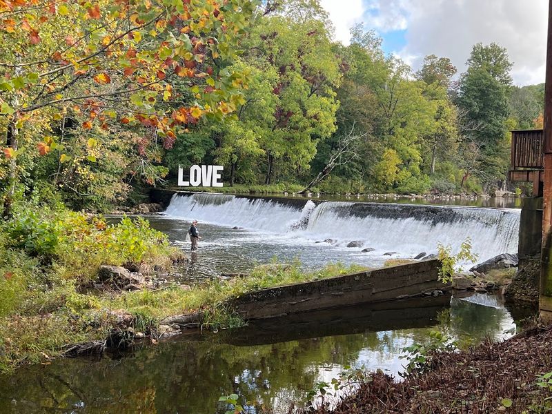 Fly Fishing in Laurel Creek Is Meditative and Rewarding