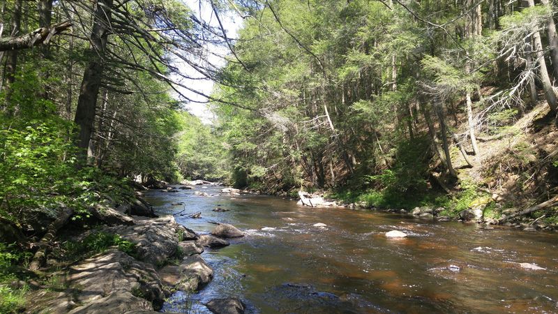 Fly Fishing on the Salmon River