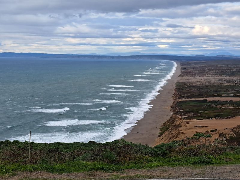 Fog, Fresh Air, and a Climate Unlike Anywhere Else
