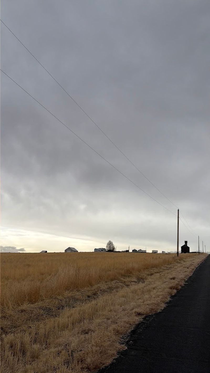 Foggy Days Add a Whole New Layer of Mystery