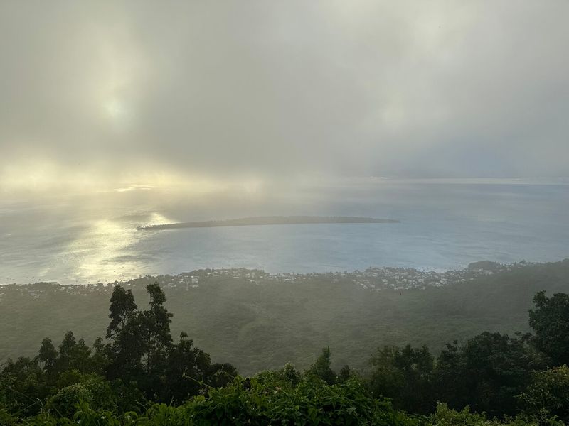 Foggy Mornings That Look Straight Out of a Painting