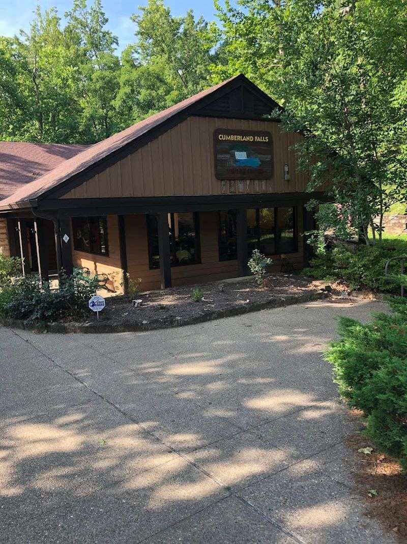 Food Options and Snack Stands on Site