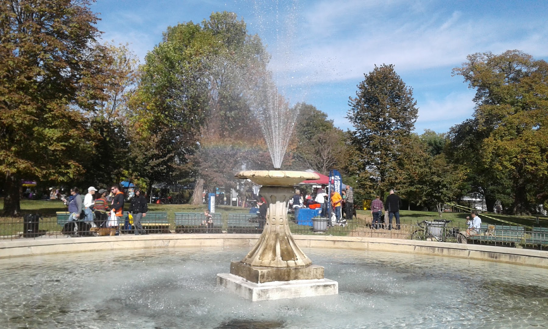 Food Truck Festivals That Satisfy Every Craving