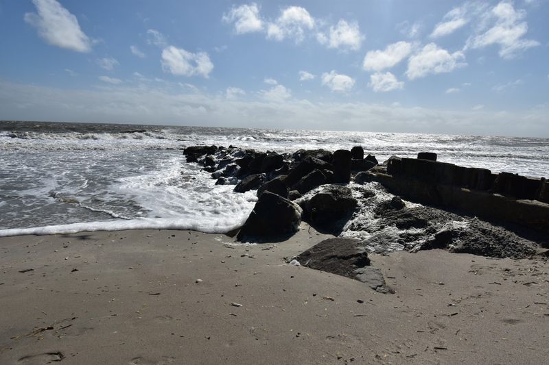 Fossil Hunting Adventures Along the Shore