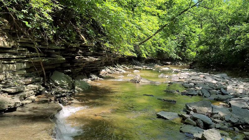 Fossil Hunting in the Creek: A Treasure Hunt for All Ages