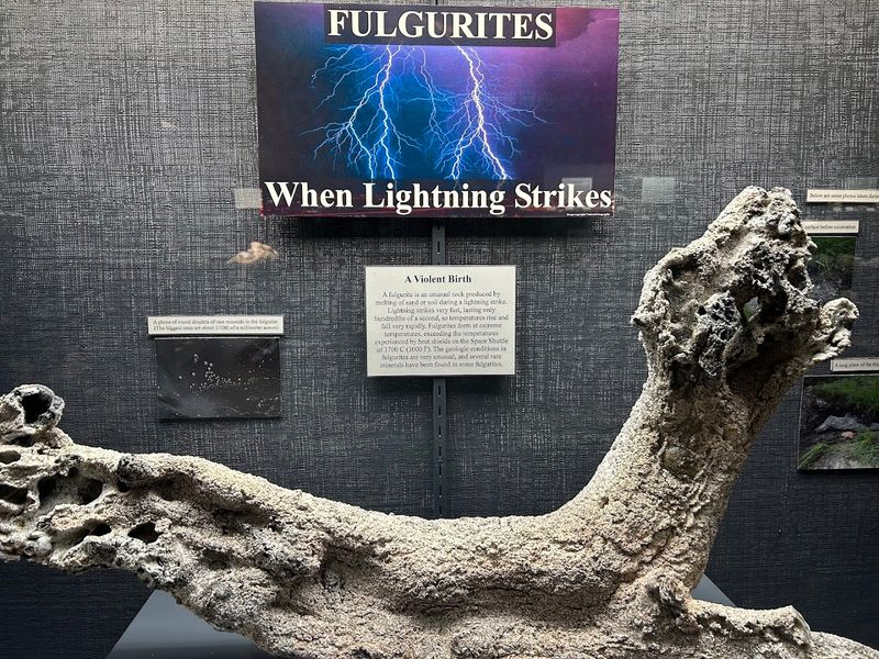 Fossils That Transport You Back Millions of Years
