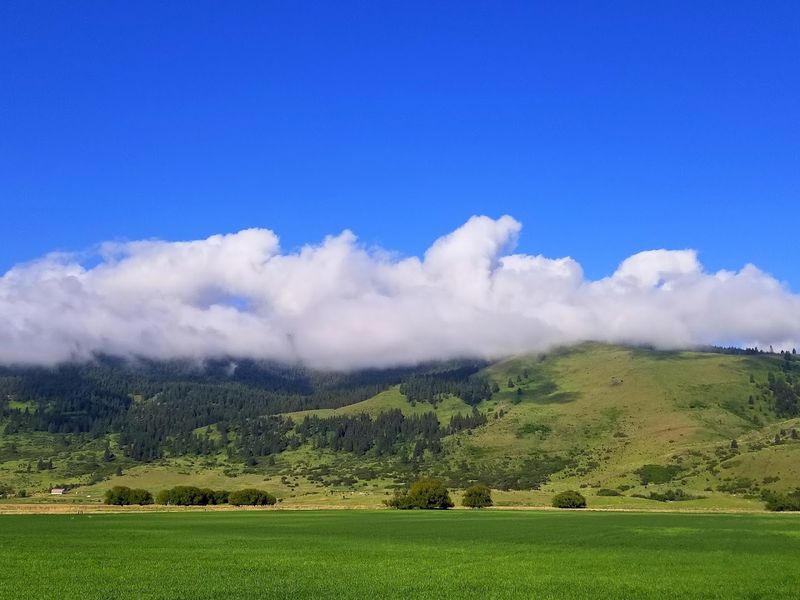 Four Distinct Seasons Without Extreme Weather Drama