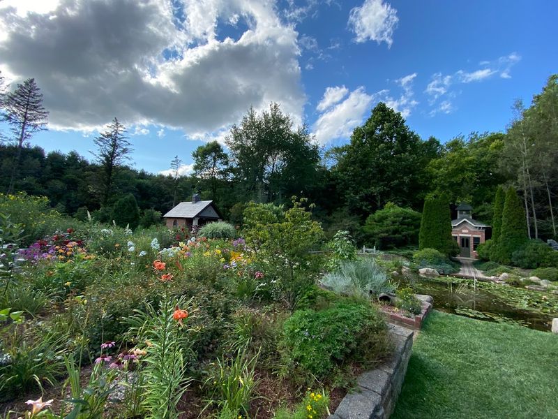 Four Seasons of Blooms and Beauty