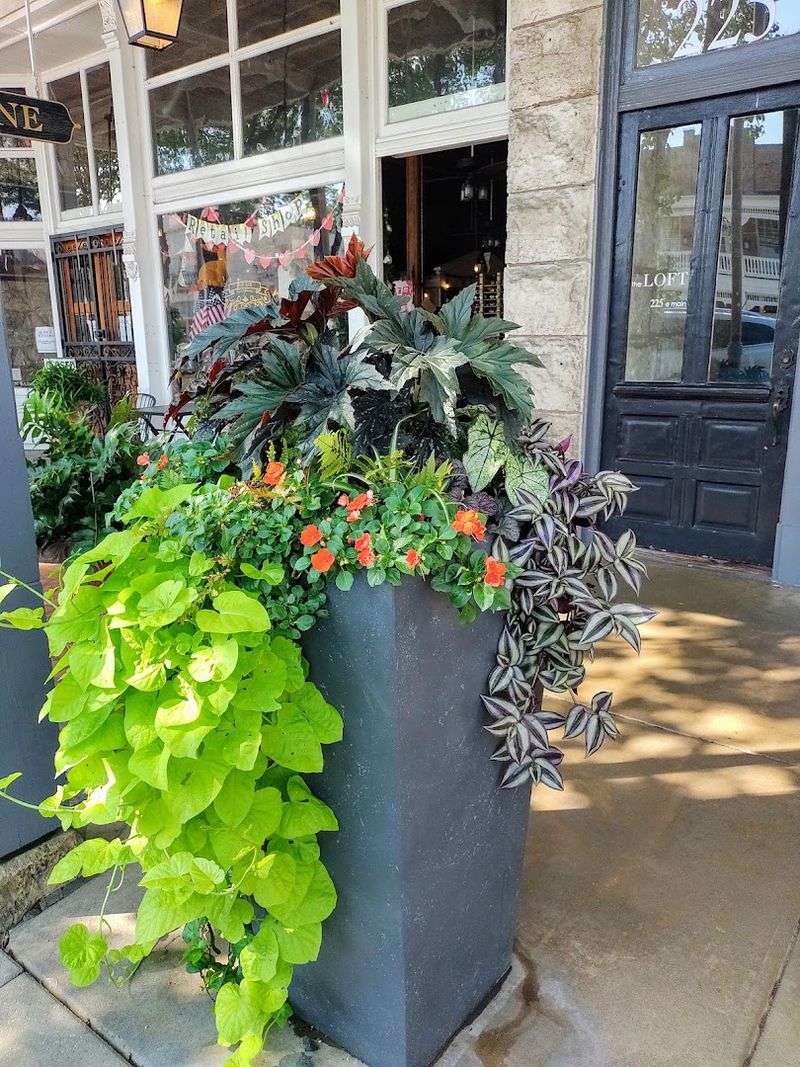 Fredericksburg, Texas