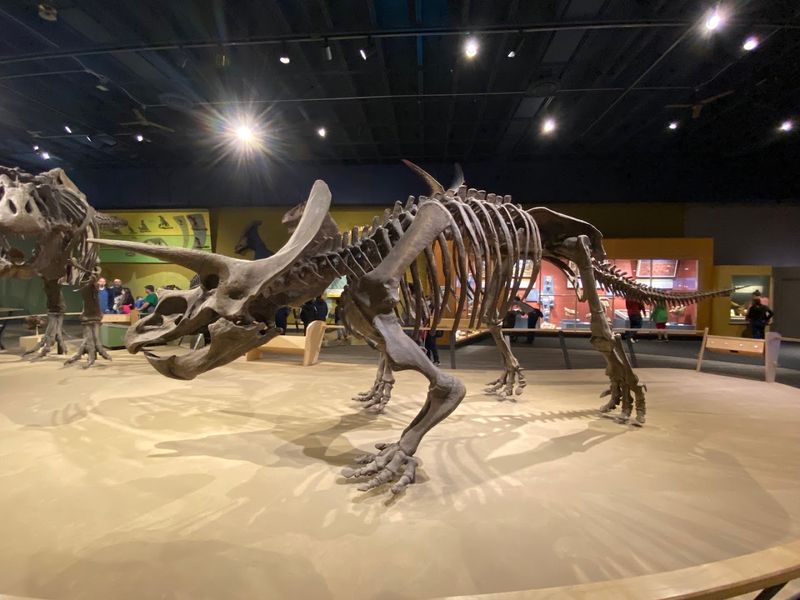 Free Admission Days for Cleveland Residents