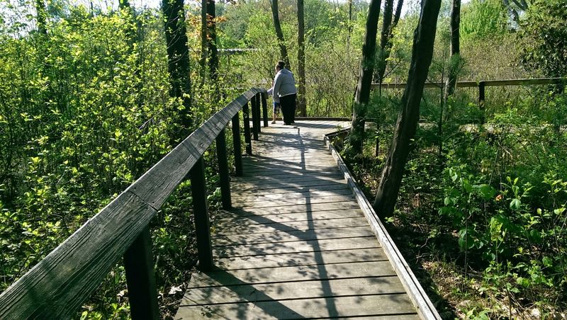 Free Admission Makes It One of Erie's Best Budget-Friendly Outings Free Admission Makes It One of Erie's Best Budget-Friendly Outings