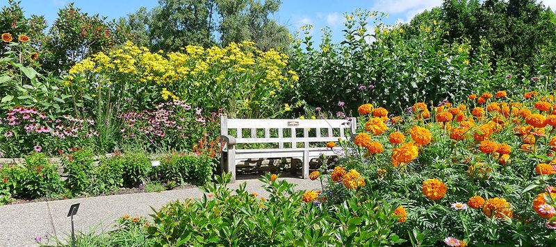 Free Admission That Makes Every Visit Feel Like a Gift