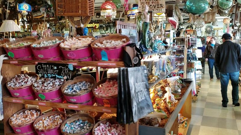 Free Admission — Yes, Really Free