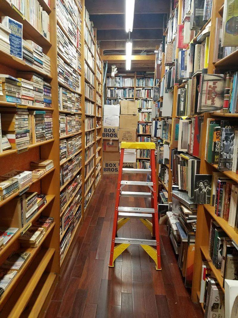 Free Books and Hidden Gems at the Back Door