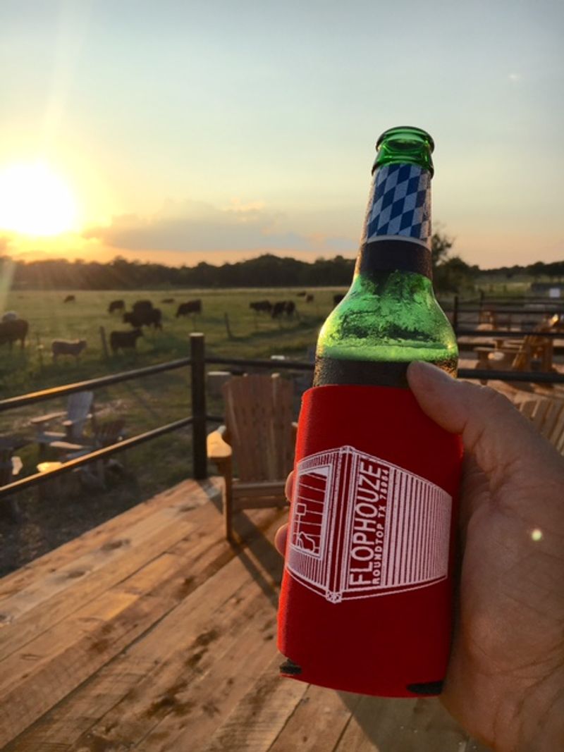 Free-Roaming Cows and Country Charm