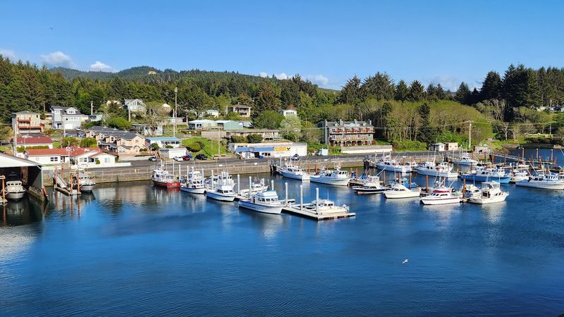Fresh Catch Seafood Shops Along the Harbor — Buy It, Cook It, Love It Fresh Catch Seafood Shops Along the Harbor — Buy It, Cook It, Love It