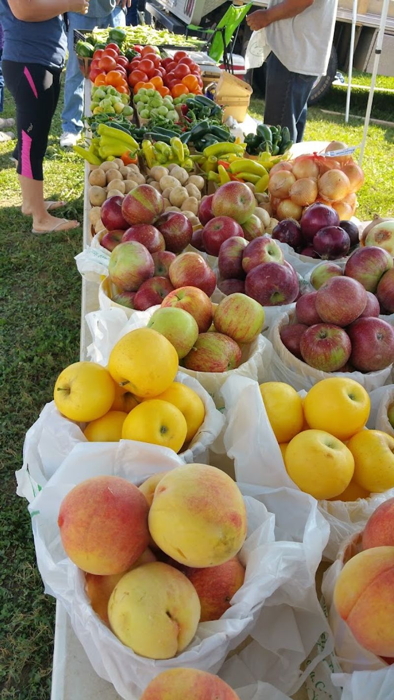 Fresh Farm Produce Straight From Local Growers