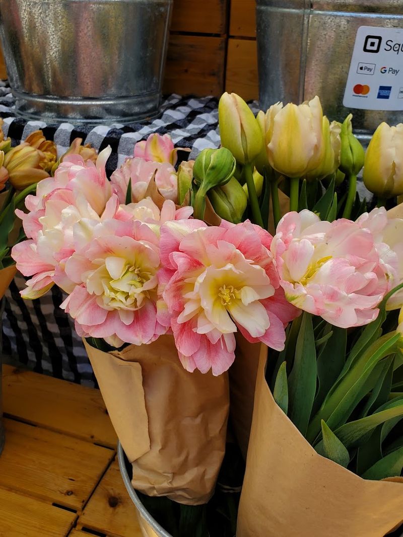 Fresh Flowers And Thoughtful Gifts To Brighten Someone's Day