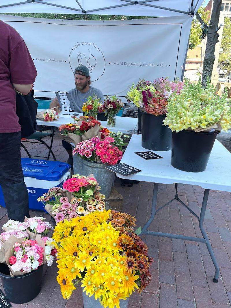 Fresh Flowers to Brighten Your Home or Surprise Someone Special