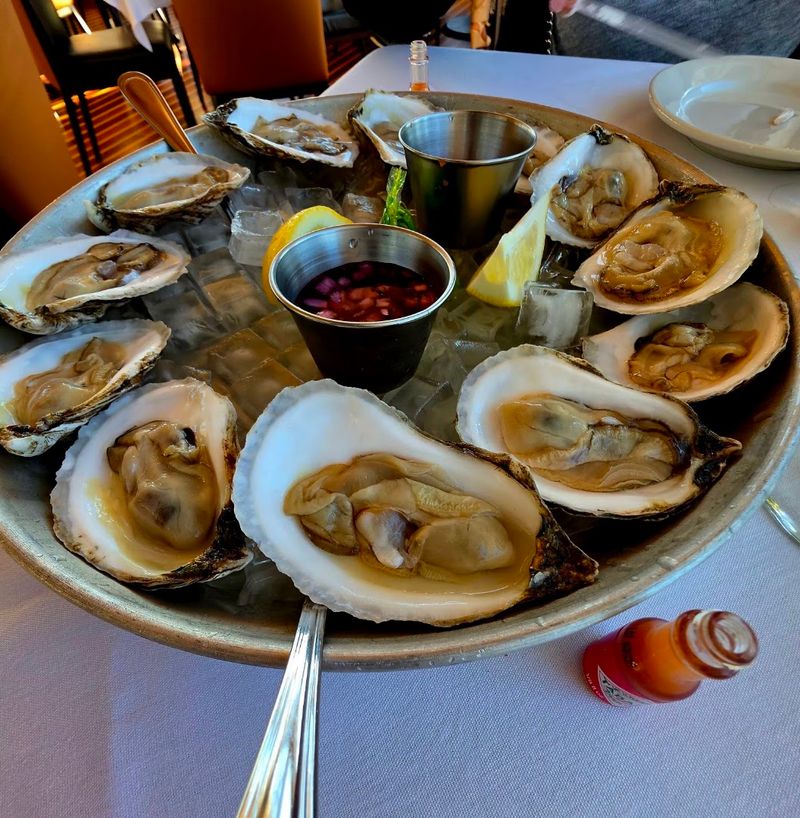 Fresh Oysters Straight from the Harbor Vibe