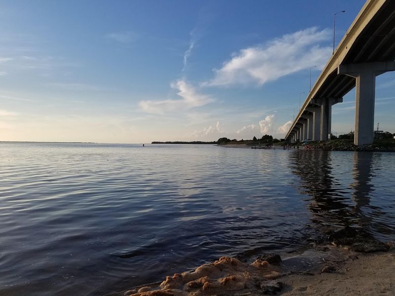 Fresh Oysters That Put Apalachicola on the Map