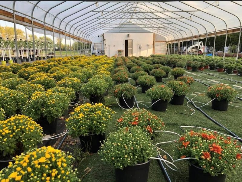 Fresh Plants and Produce at Unbeatable Prices Fresh Plants and Produce at Unbeatable Prices