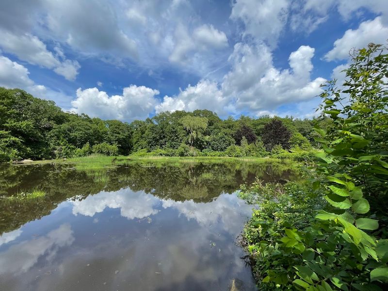 Fresh Pond Reservation: A Scenic Escape on the Border