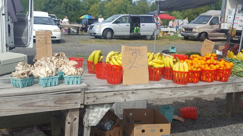 Fresh Produce and Farm Goods Straight From Local Vendors