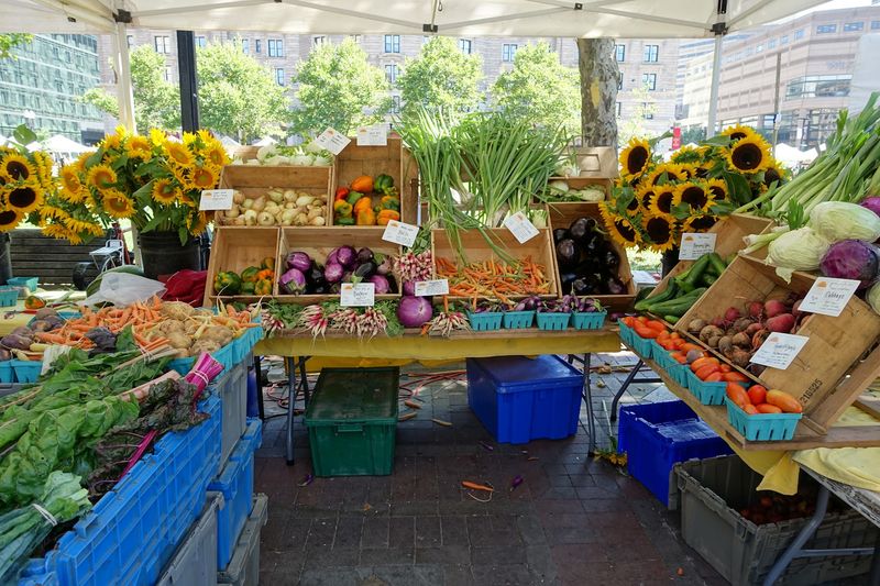 Fresh Seasonal Produce Straight From Massachusetts Farms
