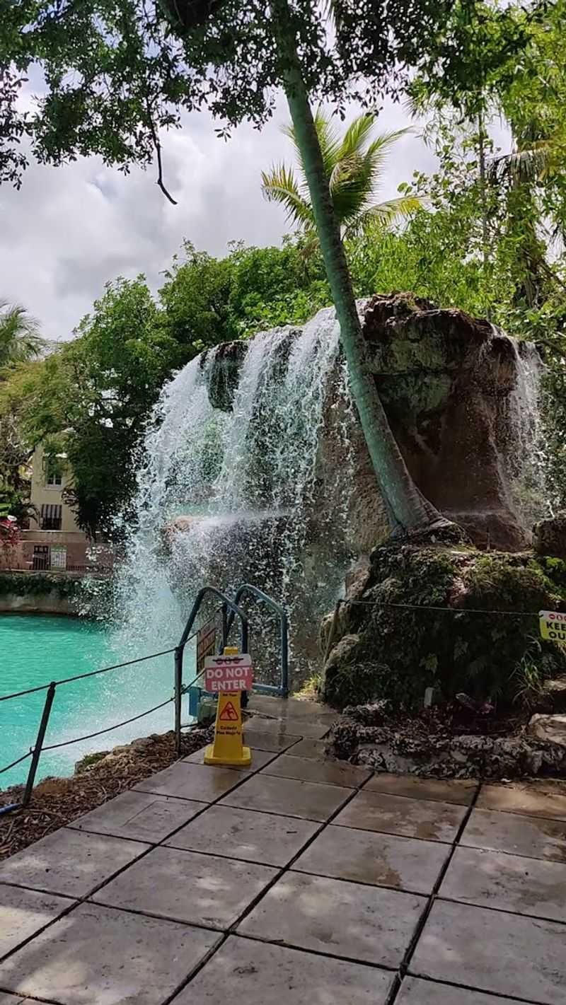 Fresh Spring Water Refilled Every Single Day