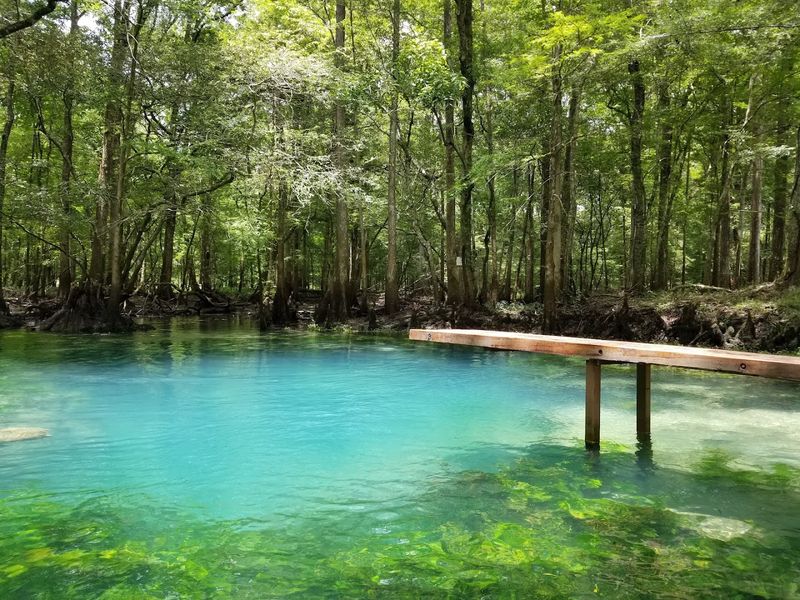 Freshwater Springs and Natural Swimming