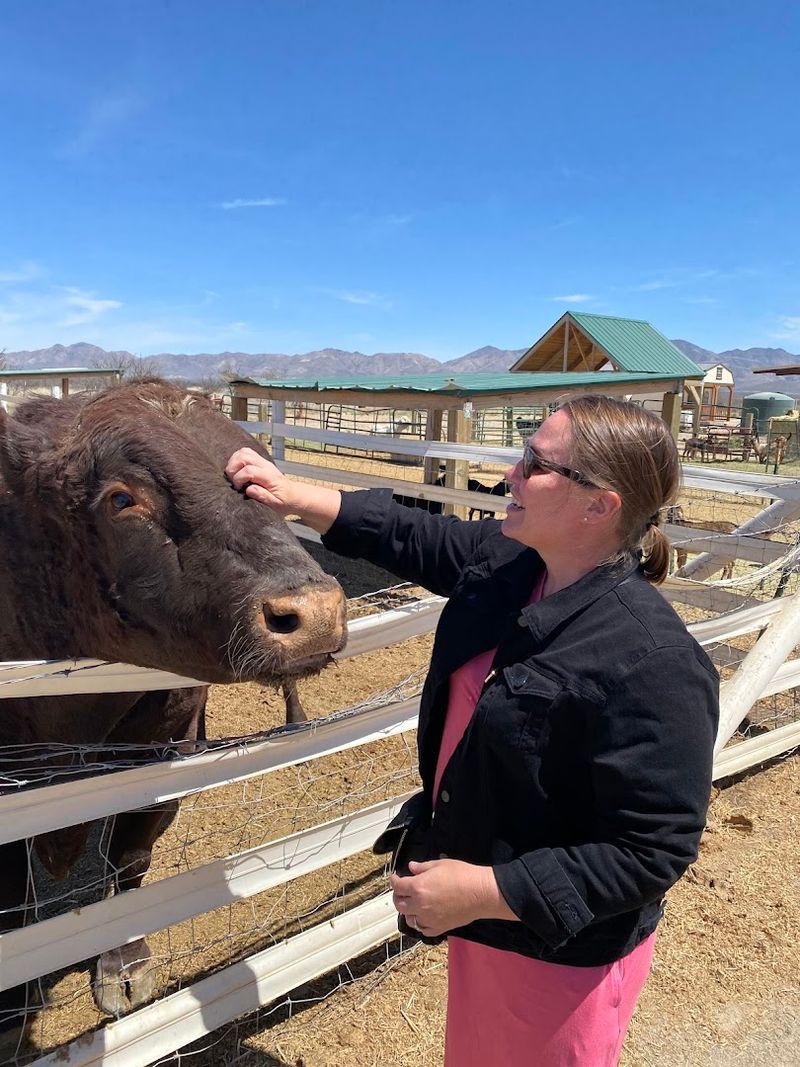 Friendly Farm Animals You Can Actually Meet