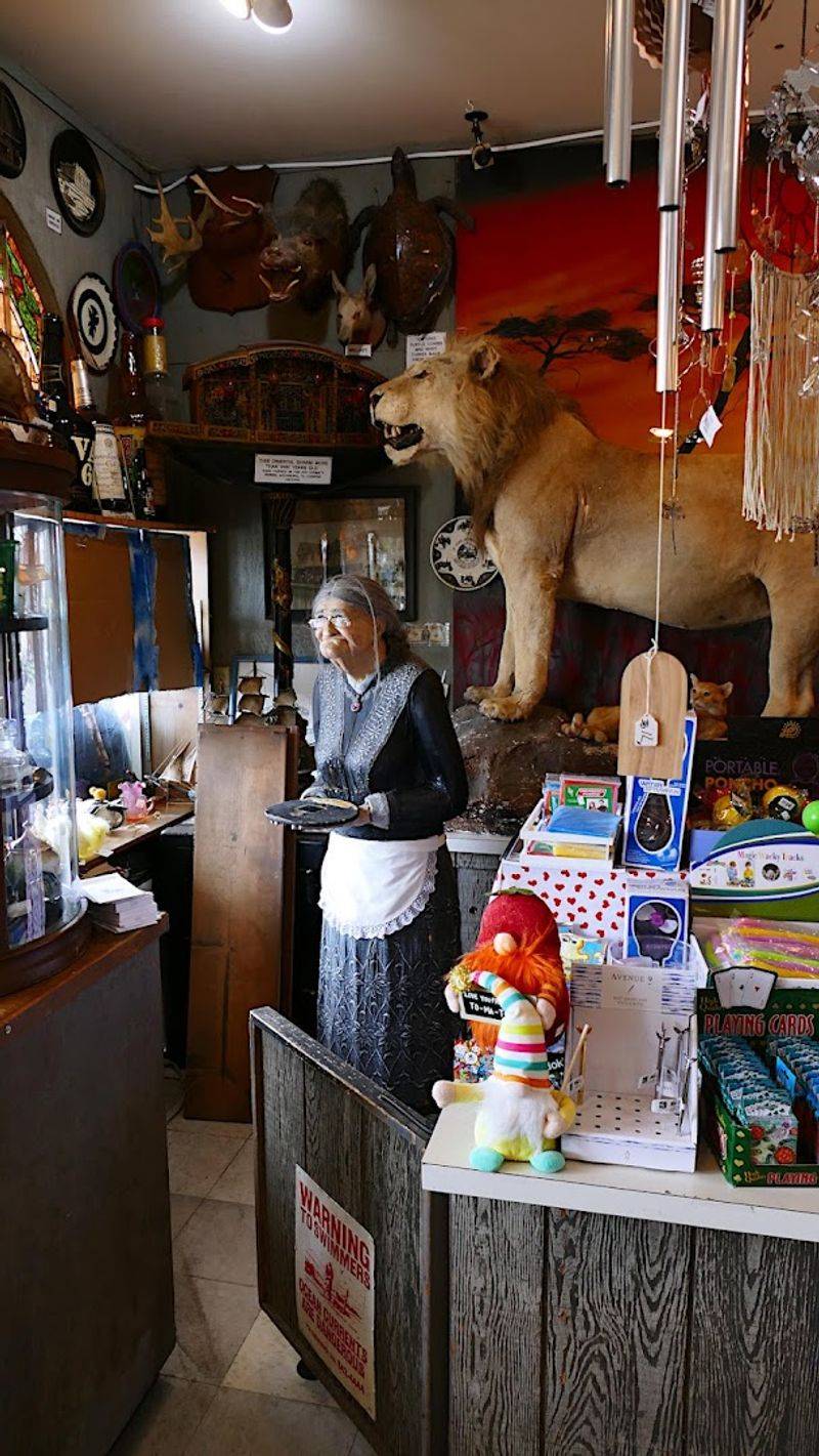Friendly Staff Who Know Their Museum Inside and Out