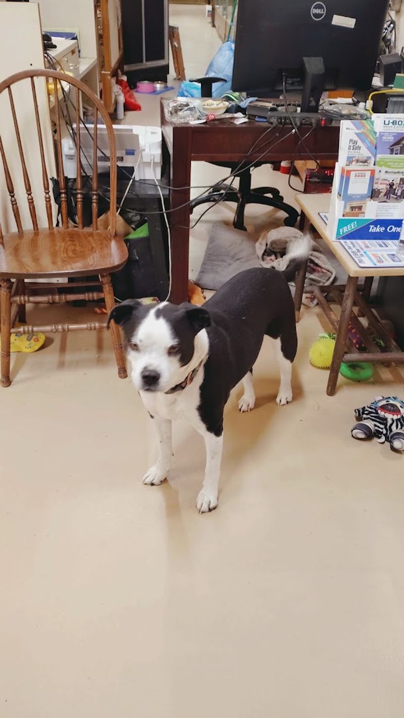 Friendly Staff and a Four-Legged Greeter