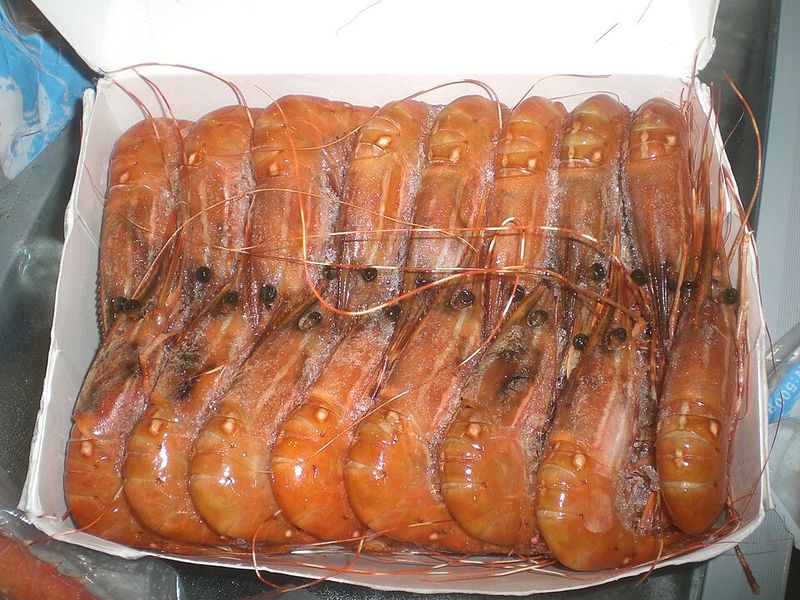 Frozen seafood Frozen seafood