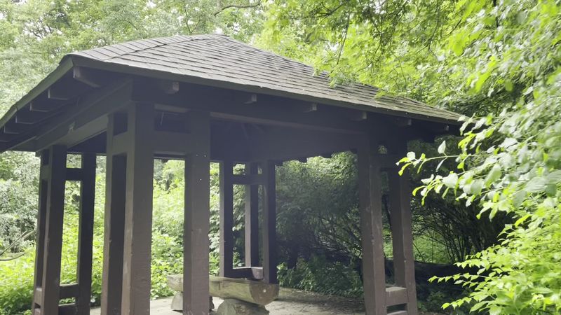 Fullersburg Woods Nature Education Center
