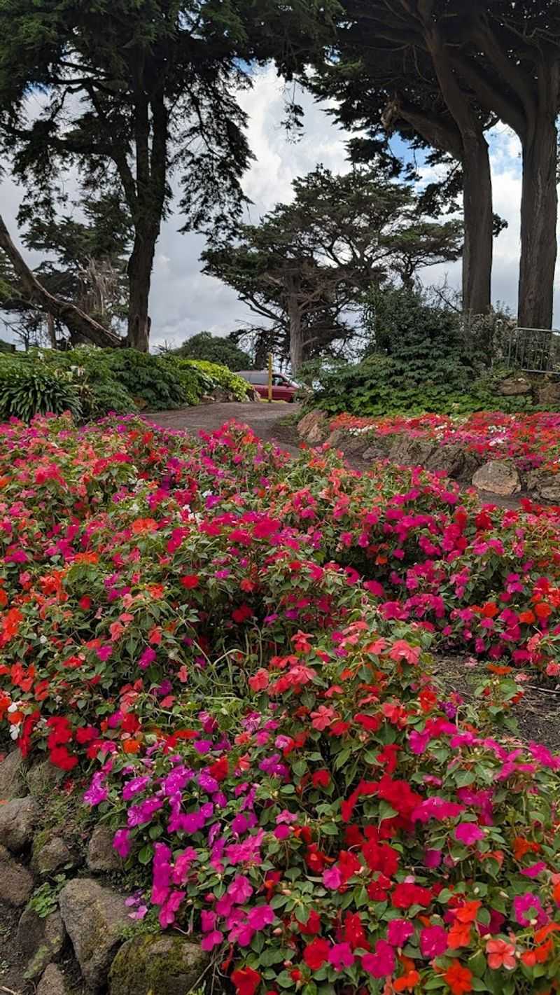 Garden Etiquette Every Visitor Should Know Garden Etiquette Every Visitor Should Know